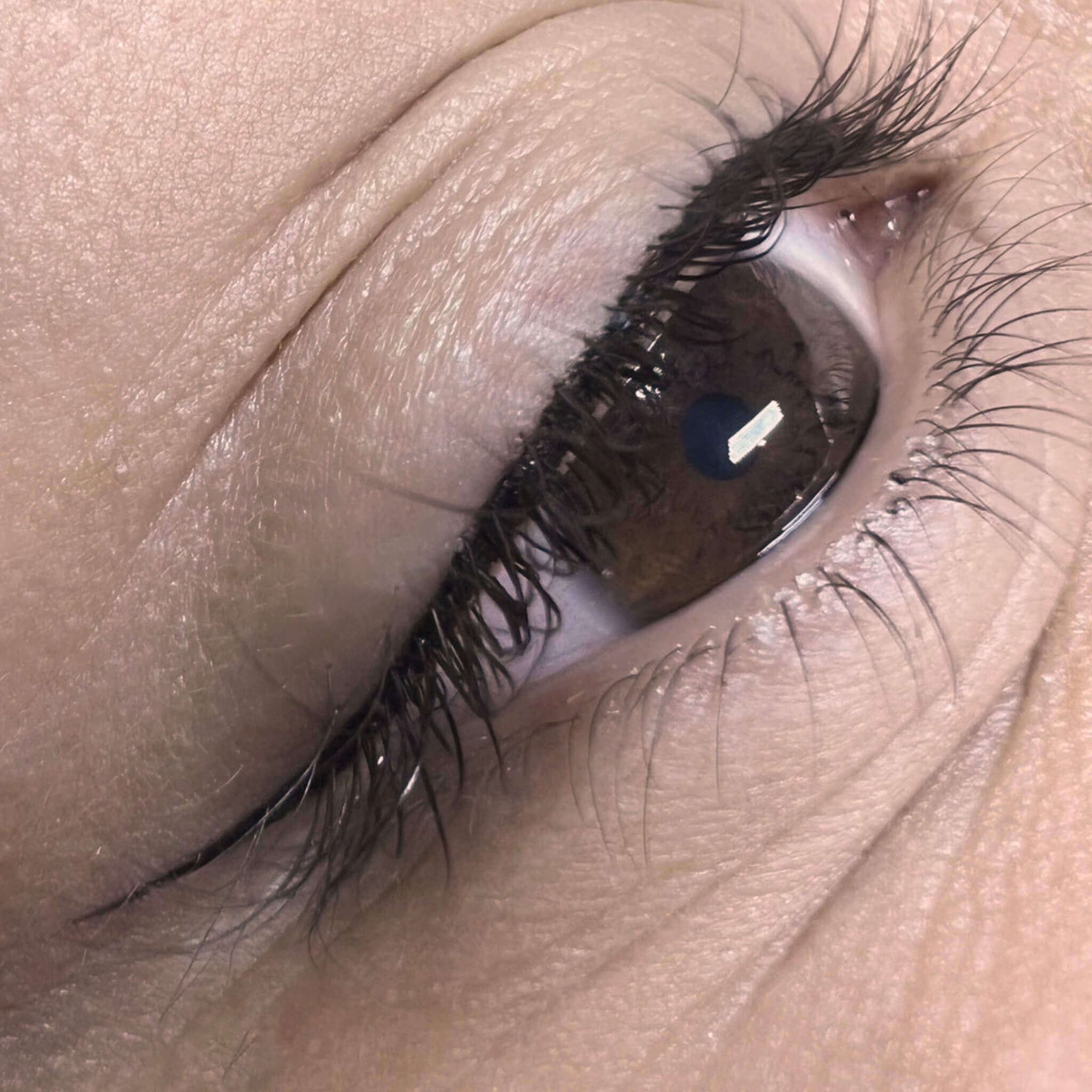 Eyeliner — dettaglio del trattamento